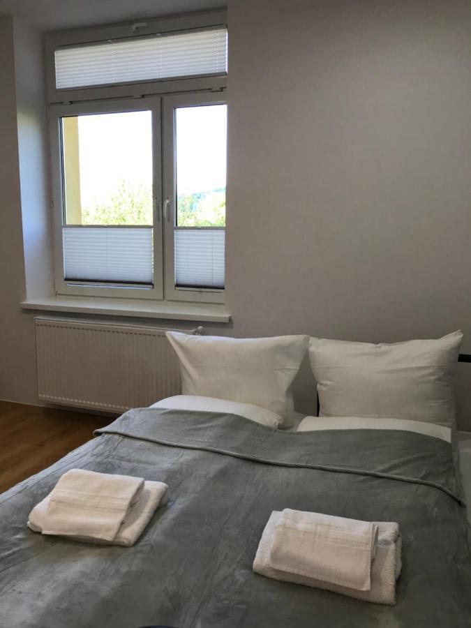 Cristal Apartament Krynica - Zdroj Buitenkant foto