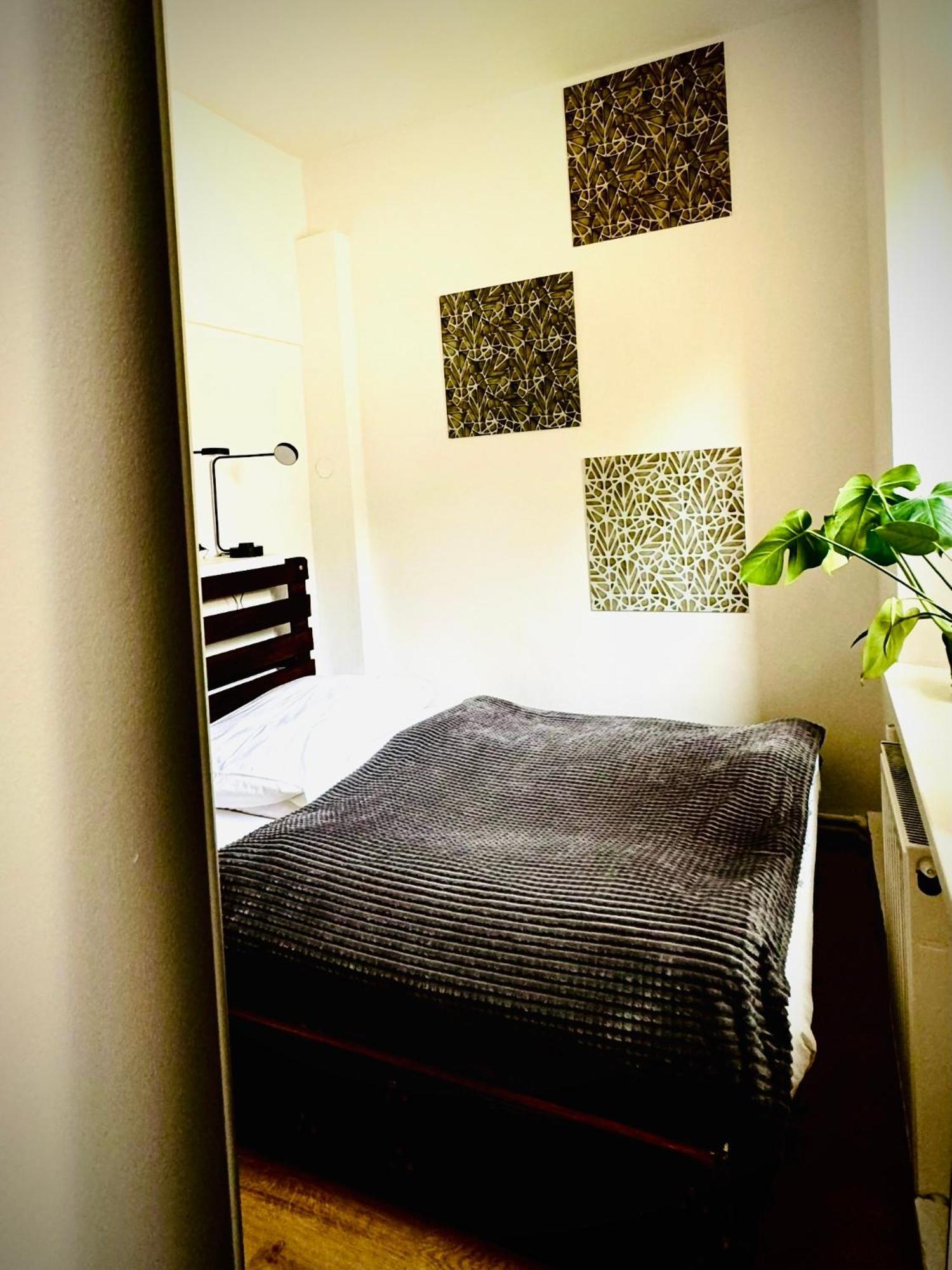 Cristal Apartament Krynica - Zdroj Buitenkant foto