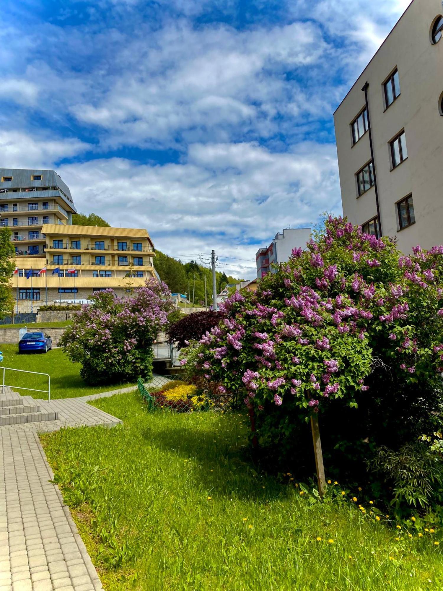 Cristal Apartament Krynica - Zdroj Buitenkant foto